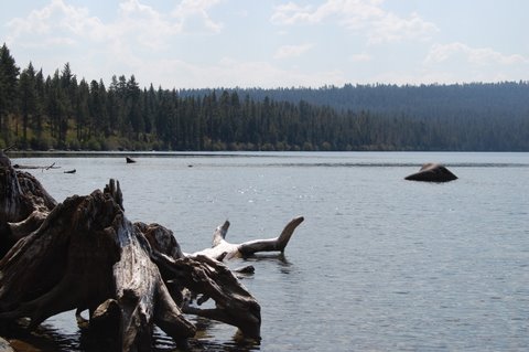 Fallen Leaf Lake