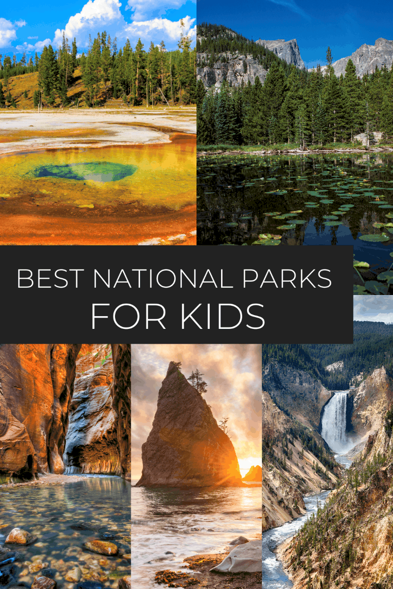 Minnesota's Family Fun: The Best State Parks for Kids of All Ages