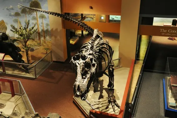 Kansas Children's Discovery Center dinosaur exhibit has fossils, eggs