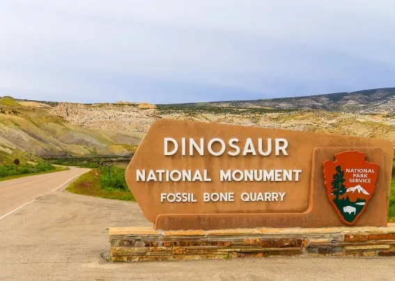 discover the dinosaurs