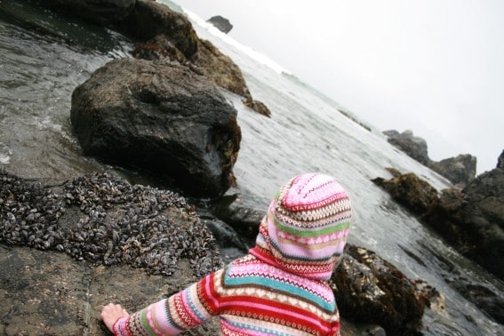 Are tide pools safe? Tips on tide pool safety