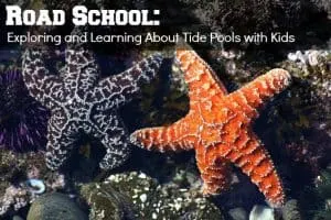 Road School Guides & Educational Tour Itineraries 2