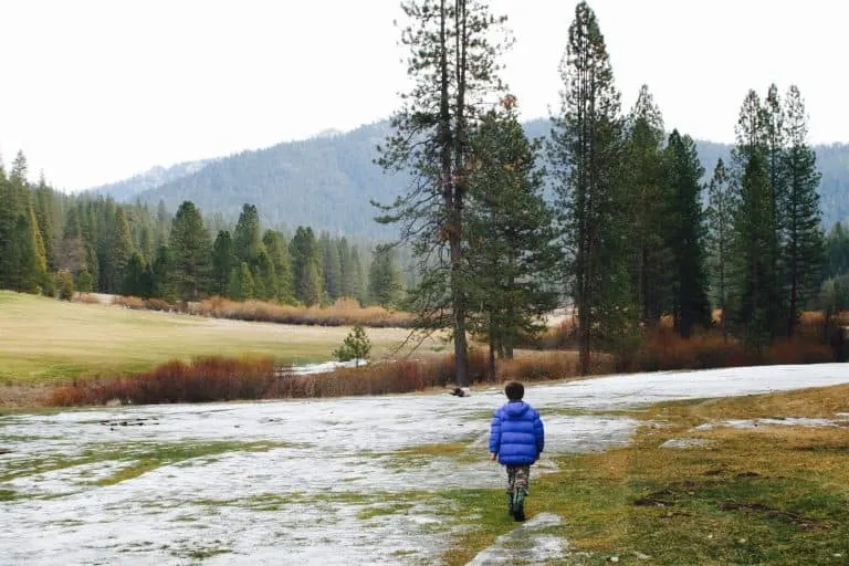 Wawaona Meadow 