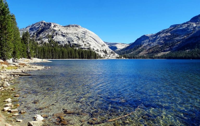 Tenaya Lake in Yosemite
