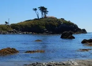 5 Must Sees for Families on California's Redwood Coast 1