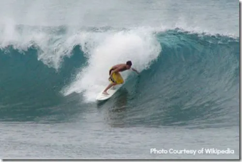 Oahu North Shore Bonzai