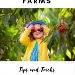 visiting cherry farms with kids