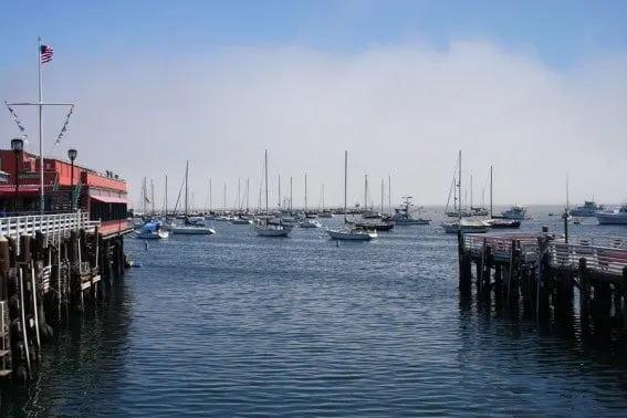 Monterey's fisherman's wharf, a great launching spot for whale watching excursions