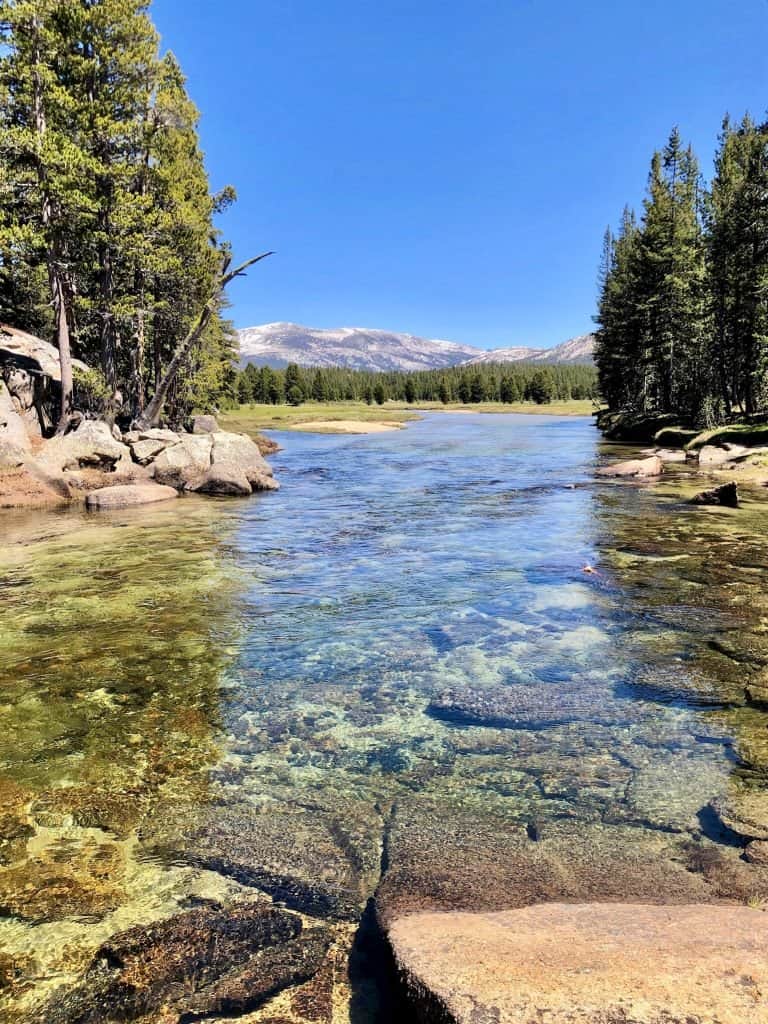 Tuolumne River looking toward Tuolumne Meadows