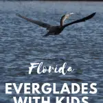 Exploring the Florida Everglades with Kids 1