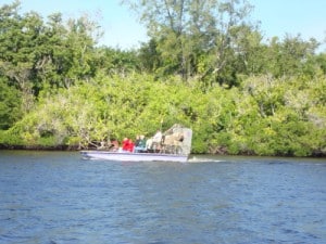 Exploring the Florida Everglades with Kids 4