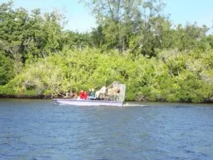 Exploring the Florida Everglades with Kids 4