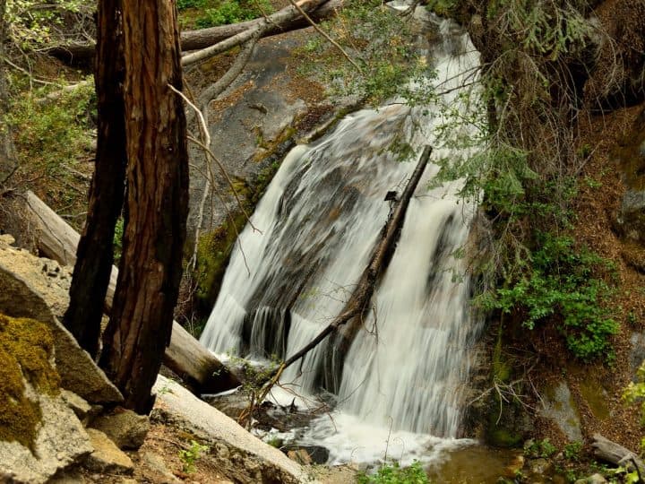 8 Best Hikes In Sequoia National Park & Kings Canyon