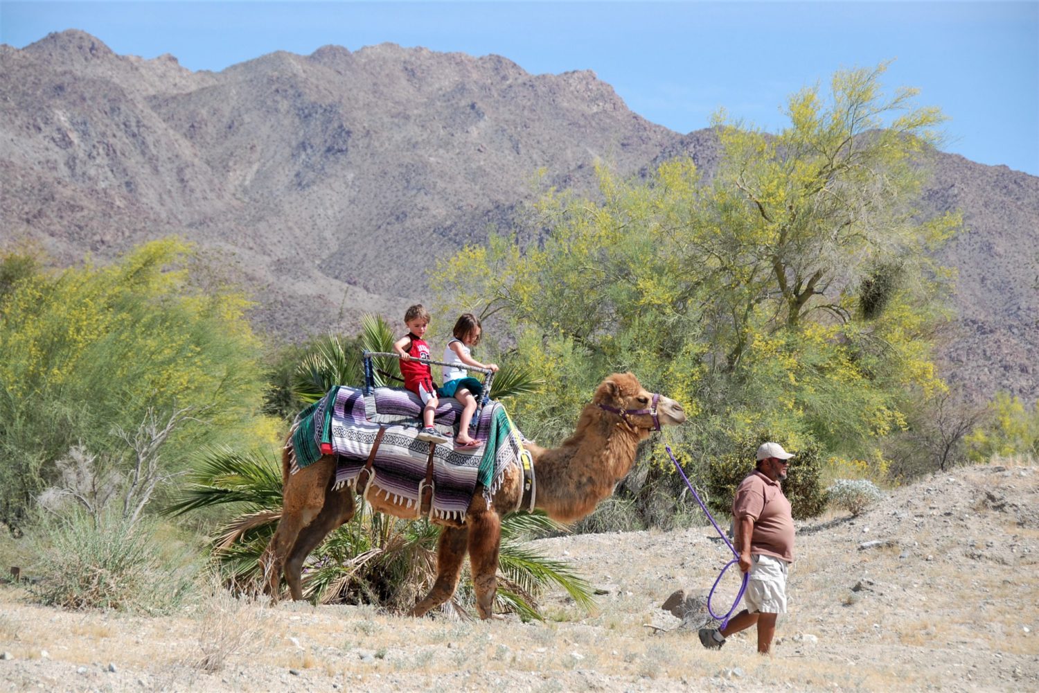 10 Must Do Fun Things To Do In Palm Springs With Kids