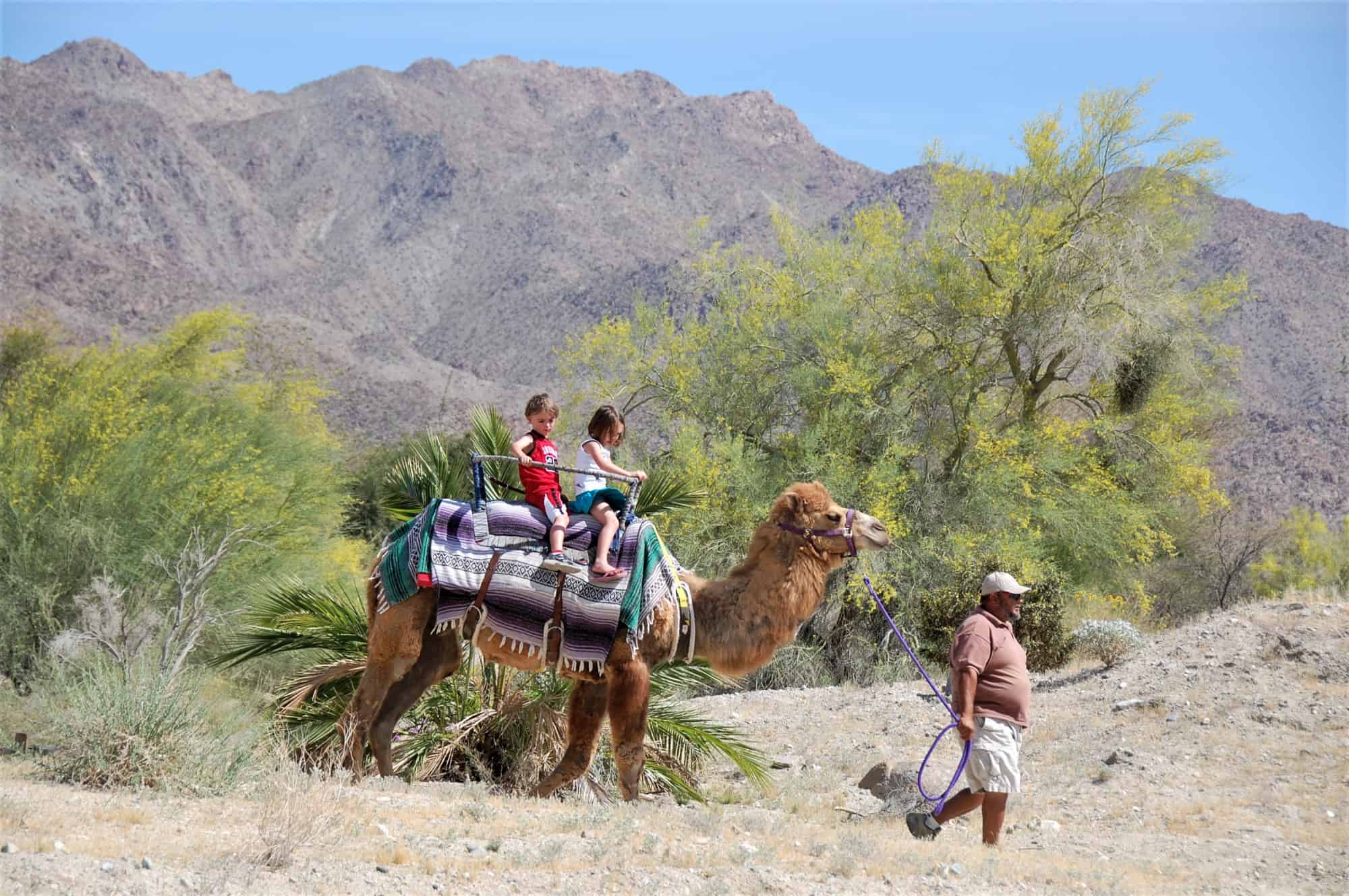 10 "MustDo" Fun Things to do in Palm Springs with Kids