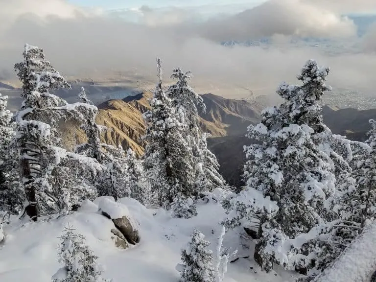 Things to do in Palm Springs with kids include visiting the Palm Springs Aerial Tramway