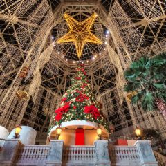Best Resorts for Christmas Vacation in Texas