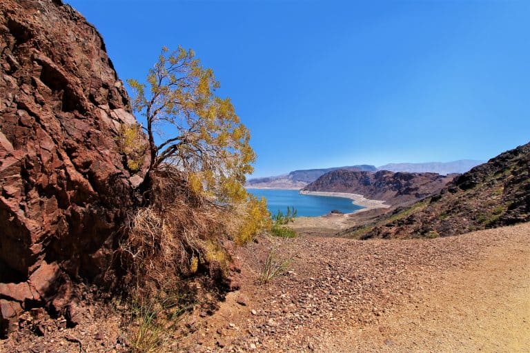 lake mead is one of the best thigns to do in nevada 