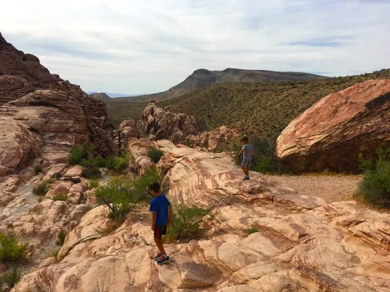 red rock canyon national conservation area things to do in nevada