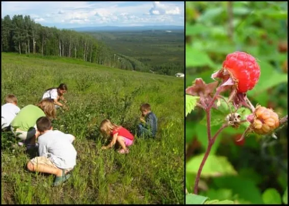 Exploring Fairbanks with Kids- Family Fun in Alaska's Interior 2