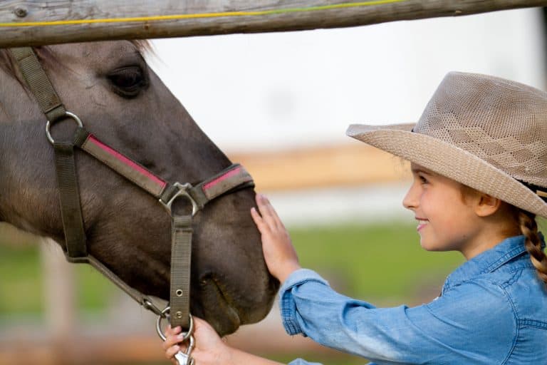 things to do in New Mexico with kids include visiting a Dude Ranch