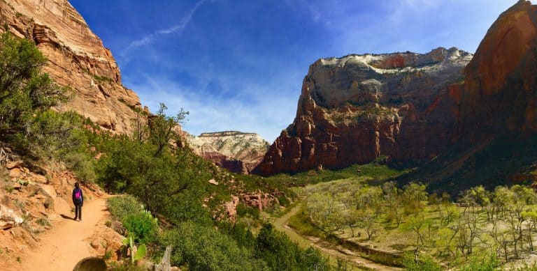 utah zion national park