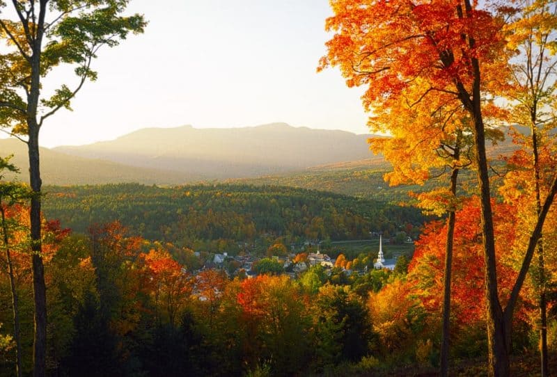 Things-to-do-in-Vermont-with-kids-Fall-leaves-Shutterstock-