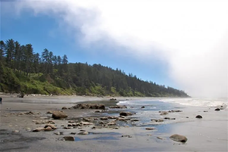 Beach 4 Olympic National Park