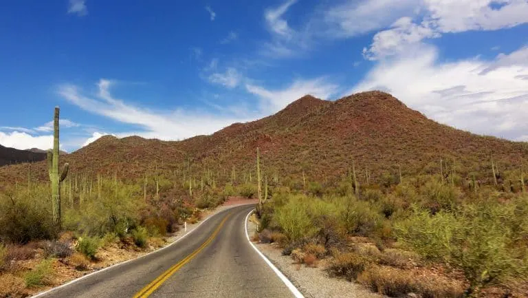 Things to do in Arizona with kids include visiting the desert