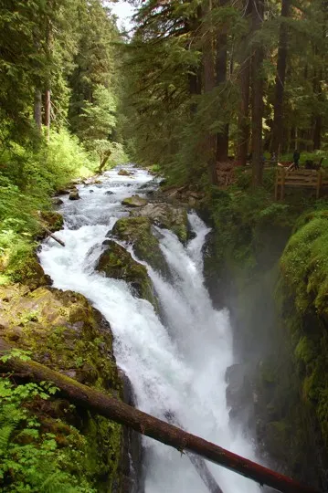 Sol Duc falls