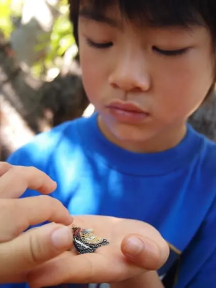 Siem Reap, Cambodia with Kids – Adventures Beyond Angkor Wat 1