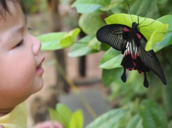 Siem Reap, Cambodia with Kids – Adventures Beyond Angkor Wat 4