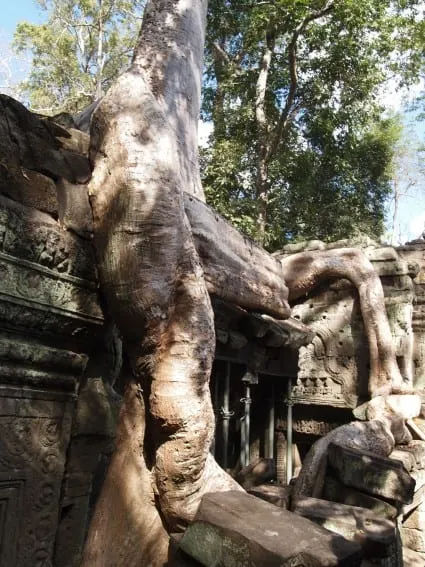 Cambodia: Angkor Archeological Park Through the Eyes of Young Kids 15