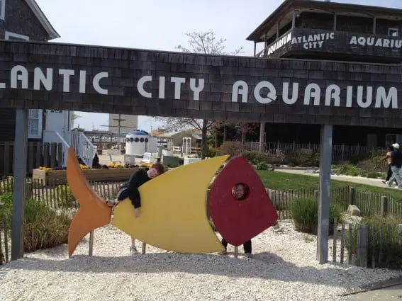 Atlantic City City with Kids - Aquarium