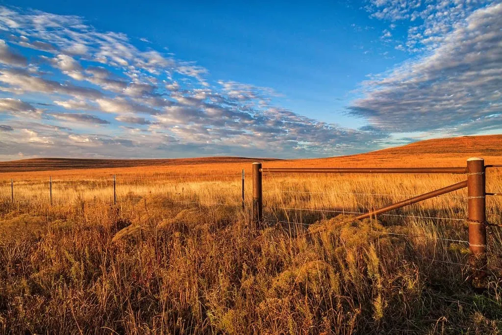 Tallgrass Prairie kansas photo