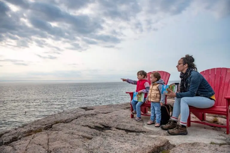 Whale Watching in the St. Lawrence River by land