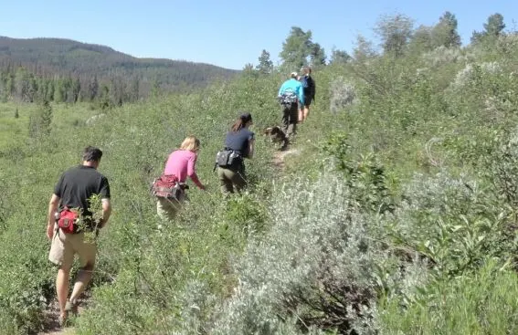 Mountain hikes in the Colorado Rockies at The Home Ranch in Clark, Colorado