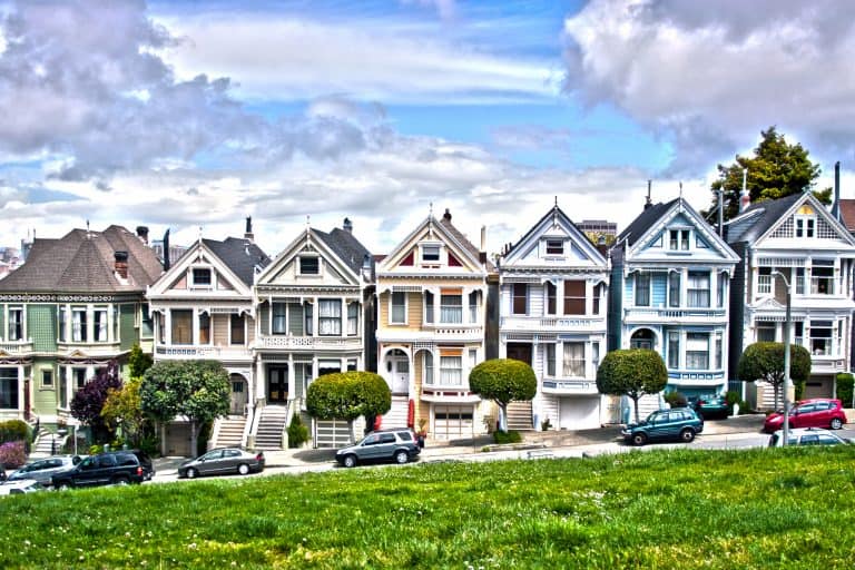 Painted Ladies