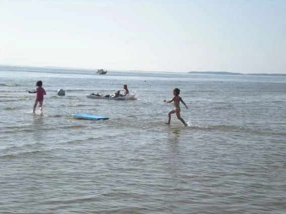 frolick bayside Cape Cod