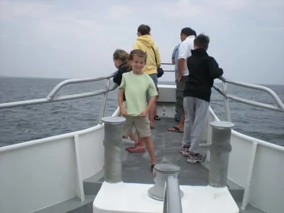 whale Watching Cape Cod Massachusetts