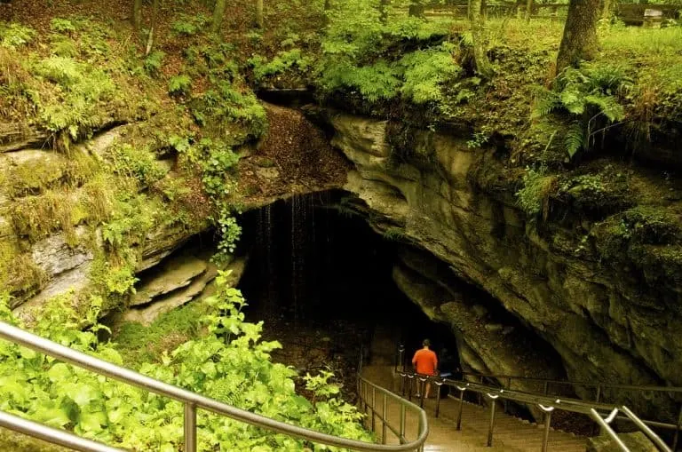 Mammoth Cave National Park