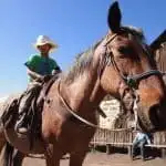 Dude Ranch Vacations: Tarryall River Ranch – Hospitality at it’s Best 5