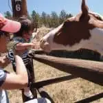 Dude Ranch Vacations: Tarryall River Ranch – Hospitality at it’s Best 11