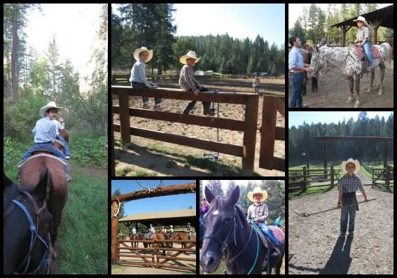 Horses Flathead Lake Lodge Collage