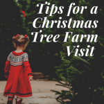 Know-before-you-go Tips for Visiting a Christmas Tree Farm 1