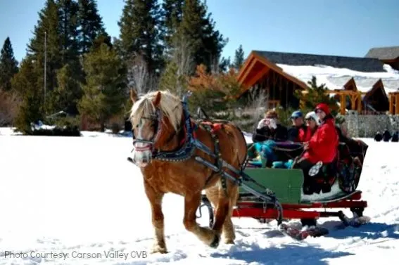 borges-sleigh-Gardnerville-Nevada-Christmas