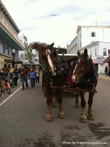 Mackinac Island With Children