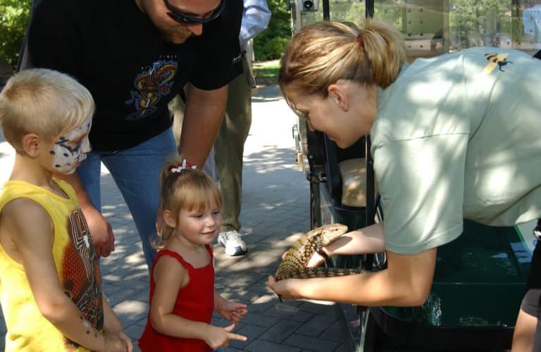 Things to do in Illinois with kids Brookfield Zoo