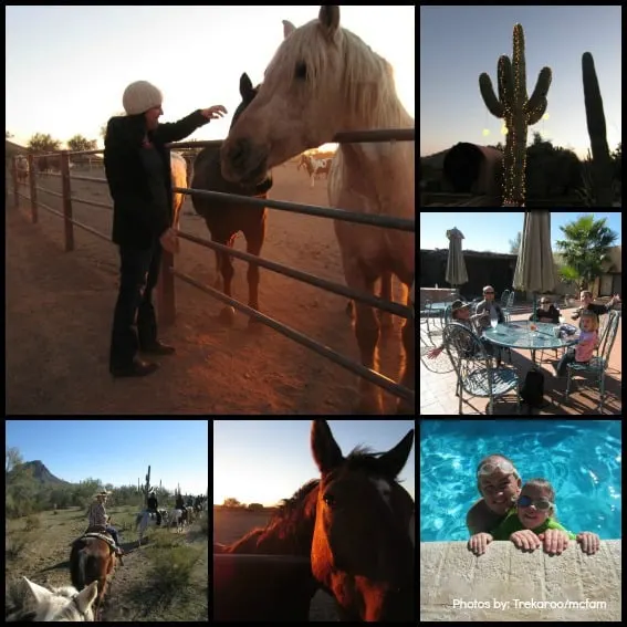 WSRanch collage name