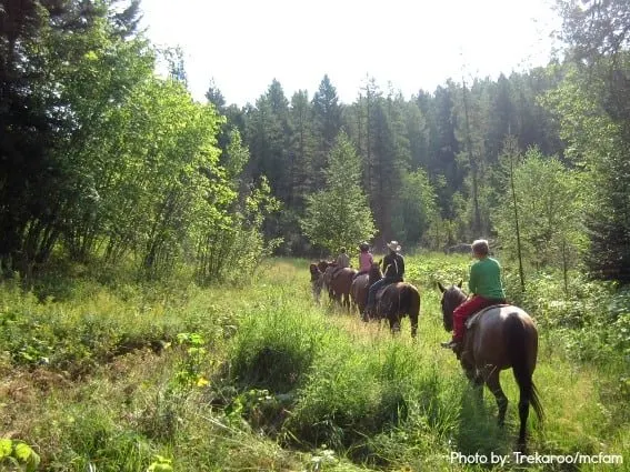 Montana Top 10 Horseback Riding